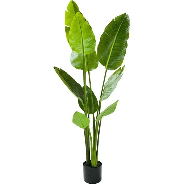 Dependable 130CM RUBBERIZED TRAVELLER PLAM WITH STONE OS1105R 4W 9 Effective