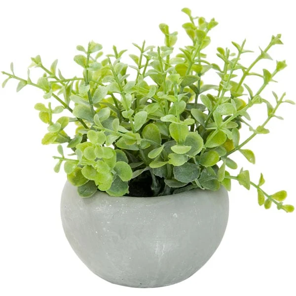 Breathable OREGONO IN CEMENT POT 45502GN Smooth