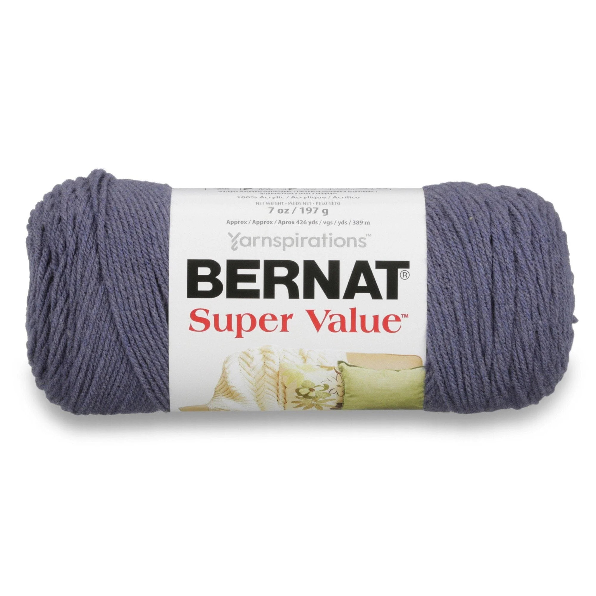 Excellent Bernat Super Value 3-197G Steel Blue Heather Green