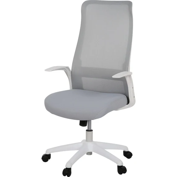 Flexible OFFICECHAIR OC105 GY WH Classic