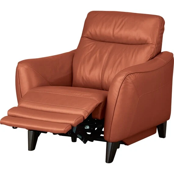 Premium Material 1SEAT ELECTRIC SOFA ANHELO SK BR Optimized