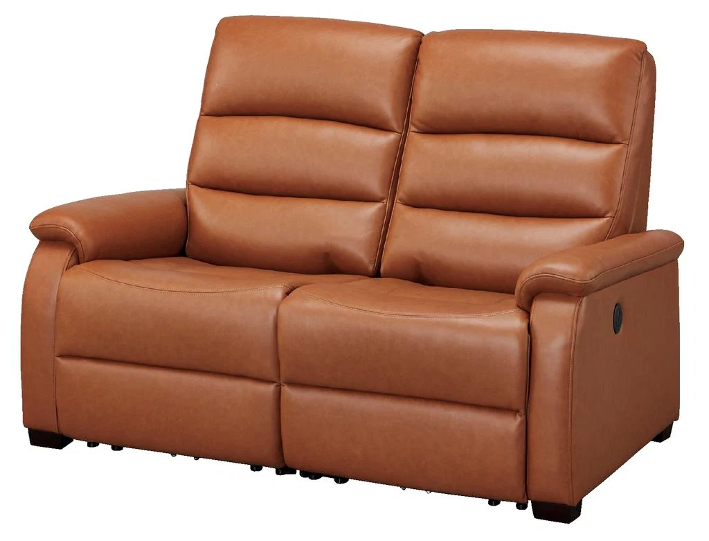 Smart 2S ELECTRIC SOFA N-BELIEVA BR2-SCF66 TK-LEATHER Organic
