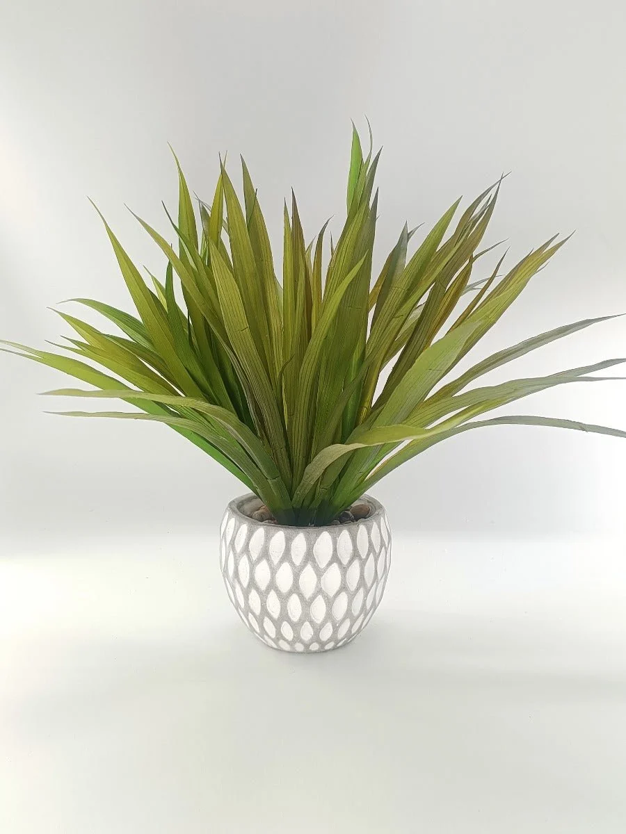 Original Design LAUREN TAYLOR -Artificial Plant Grass Cement Durable