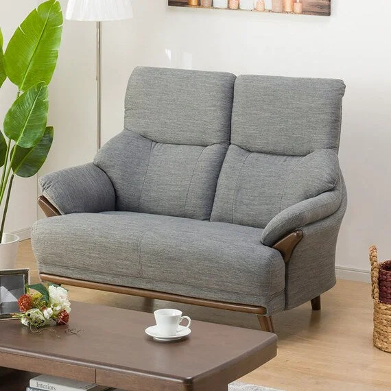 Sustainable 2 SEAT SOFA KOTEI3-HD DR-GY Premium
