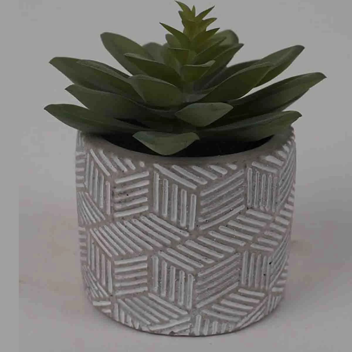Smart Lauren Taylor – Artificial Stout Succulents in Grey Cement Pot Specialty