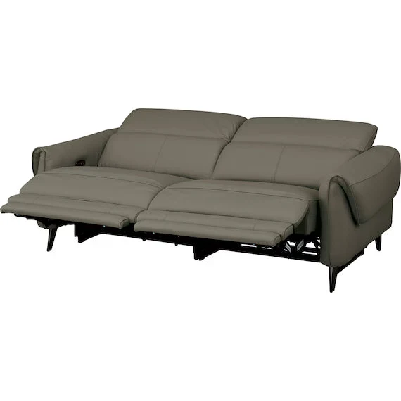 Trusted ELECTRIC 3P SOFA LS04 NW DGR Casual