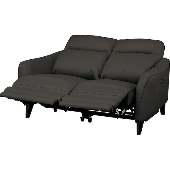 Next-Generation ELECTRIC 2P SOFA LS06 NW BK Healthy