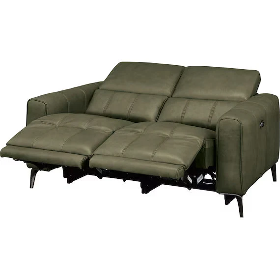 User-Friendly ELECTRIC 2P SOFA LS05 SK GR Premium Material