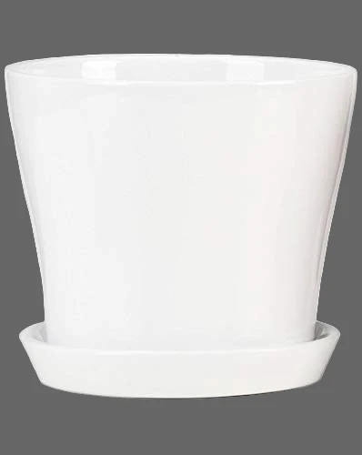 Environmentally Friendly SCHEURICH ALASKA 6 quot POT Contemporary