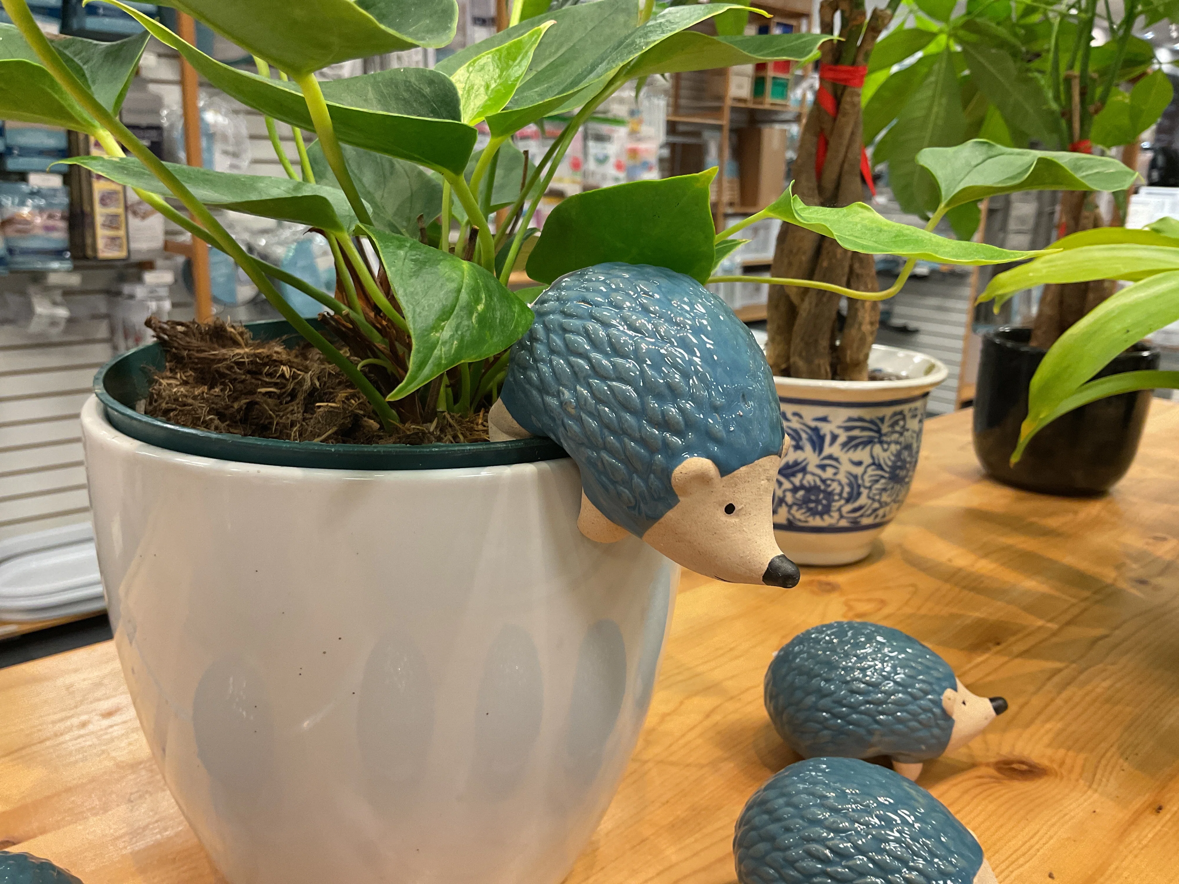 Contemporary MINI HANG POT ANIMALS Luxury