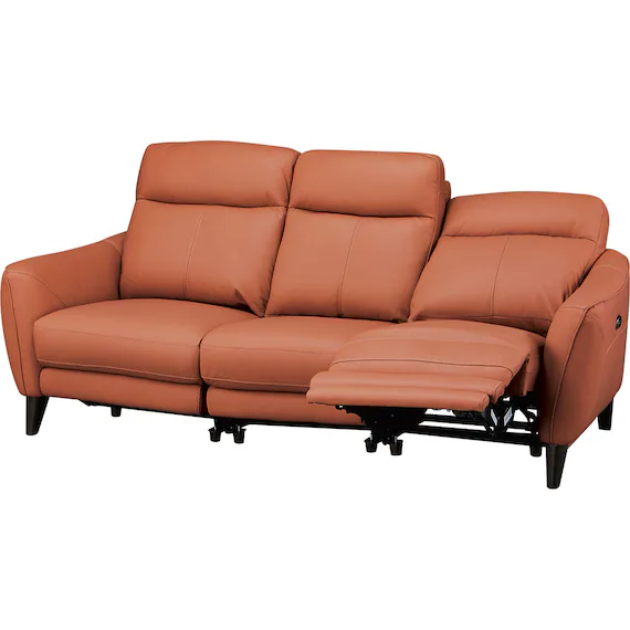 Official ELECTRIC 3 SEATER SOFA LS06 SK BR Pure