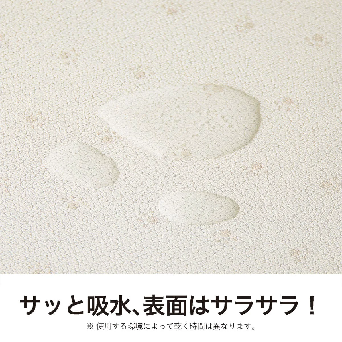 Functional Water Absorbing Pet Mat 60 x 30 cm Beige Smooth