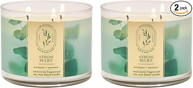 Secure Bath Body Works Eucalyptus Spearmint 3-Wick Candle Reusable