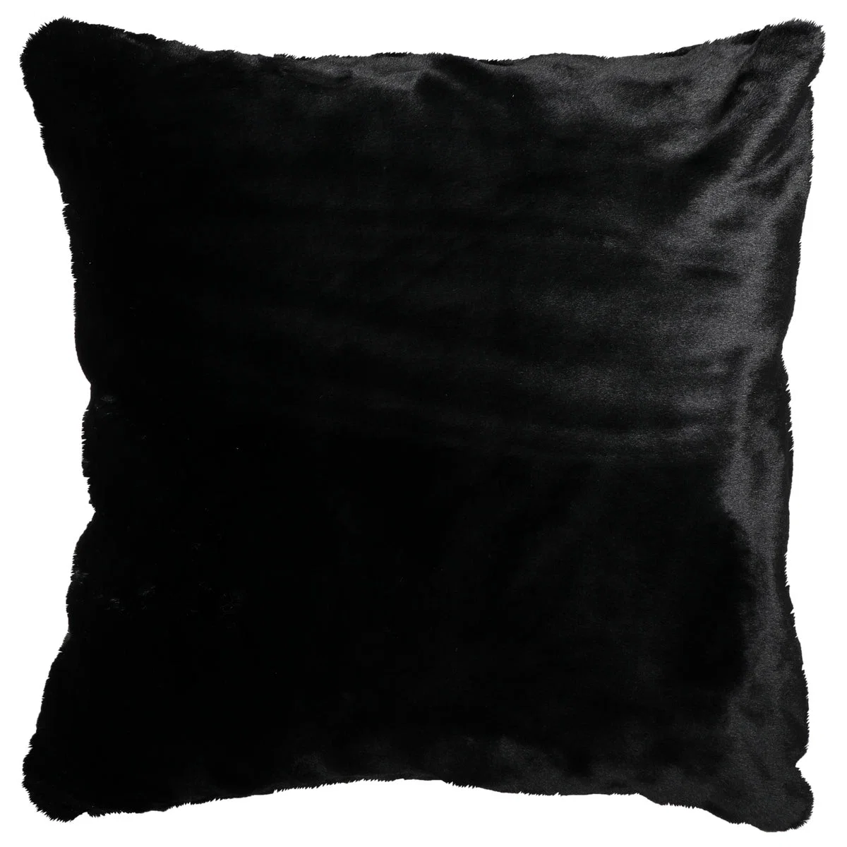 Comfortable Black Bear Euro Sham Fine