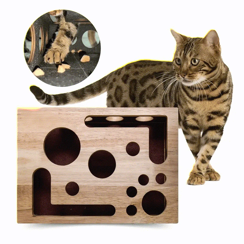 Relaxed Ownkoti Cat Scratch Puzzle Enrichment Box Specialty