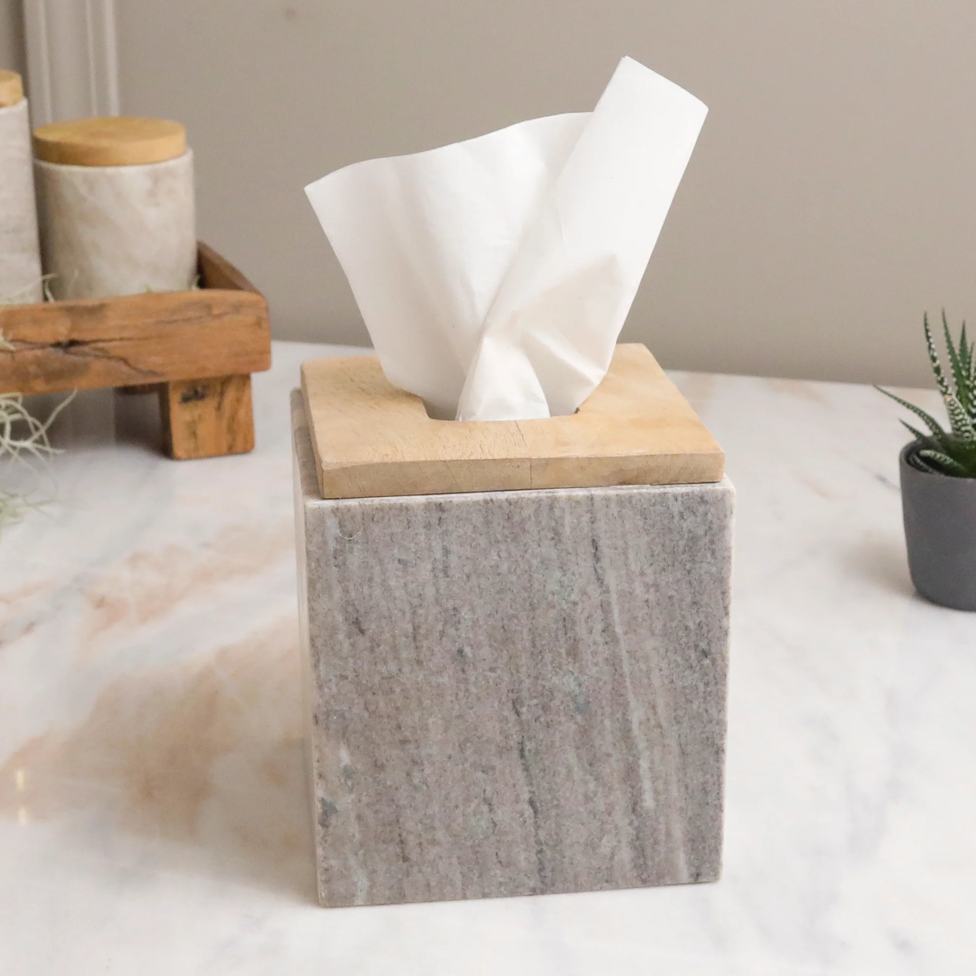 Exceptional San Marino Tissue Holder Reusable
