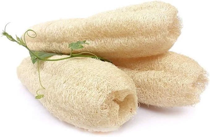 Certified Natural Whole Loofah Sponge Detailed