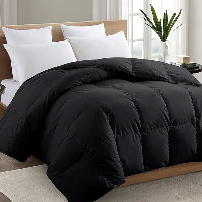 Certified TEXARTIST Premium 2100 Series California King Comforter All Season Breathable High-Quality