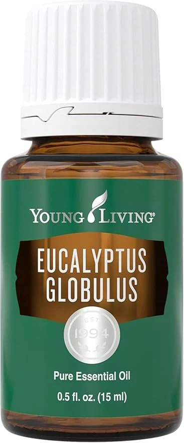 Excellent Young Living Eucalyptus Globulus Essential Oil Cooling Refreshing Aroma Premium