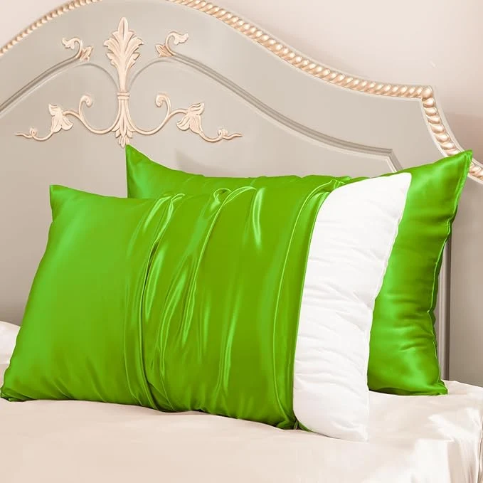 World-Class PROMEED 23 Momme Silk Toddler Pillowcase 2 Pack with Laundry Bag Natural Highest Grade 6A Mulberry Silk Pillow Case Set of 2 Zipper Toddler Travel 13 quot x18 quot Green Casual