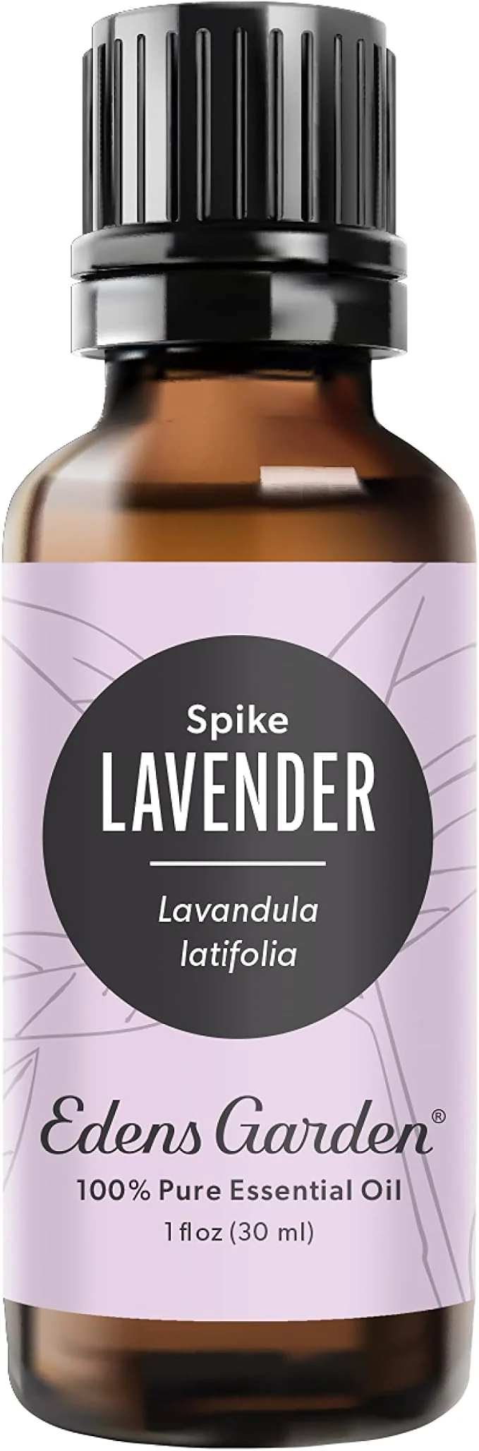 Practical Edens Garden Lavender- Spike Essential Oil- Pure Premium Grade Therapeutic Excellent