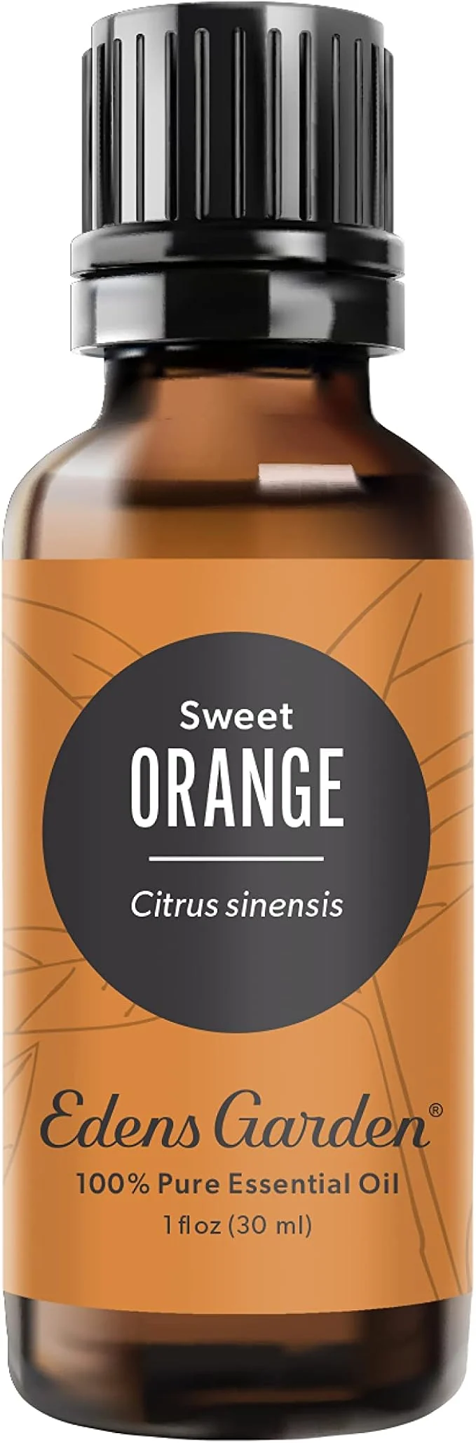 Soft Edens Garden Orange- Sweet Essential Oil- Pure Premium Grade Therapeutic Innovative