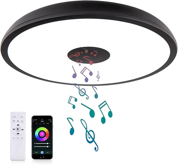 Proven Black Smart Waterproof LED Flush Mount Ceiling Light Fixture Fashionable