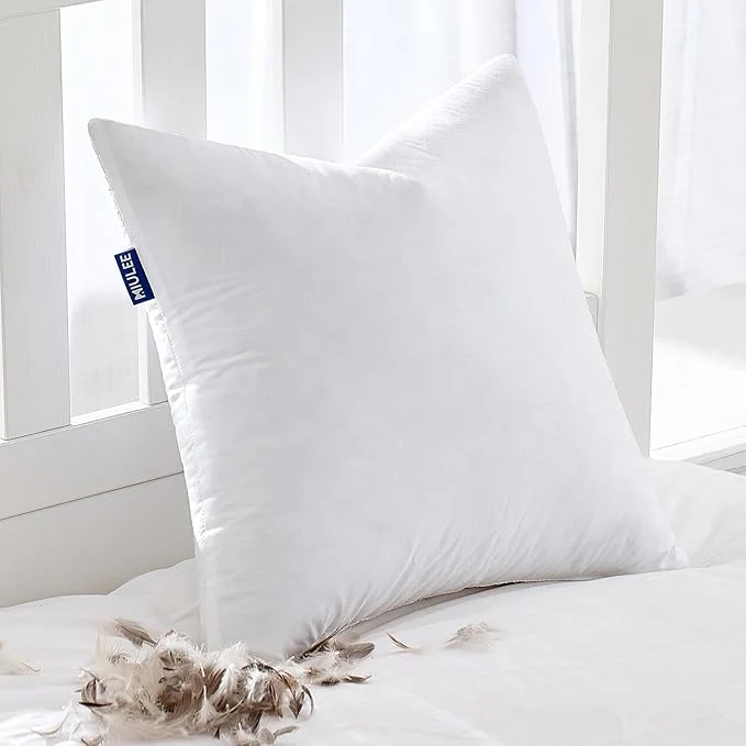Optimized MIULEE Feather Pillow Insert 18×18 Decorative Down Throw Pillow Insert Fluffy Smart