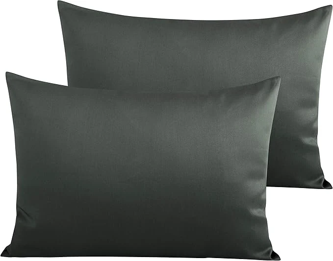 Fashionable NTBAY Egyptian Cotton Queen Pillowcases Verified