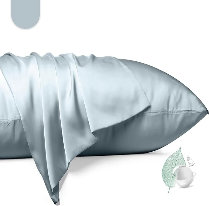 Exceptional Mulberry Silk Pillowcase 2 Pack Queen Size Silk Pillow Cases Durable