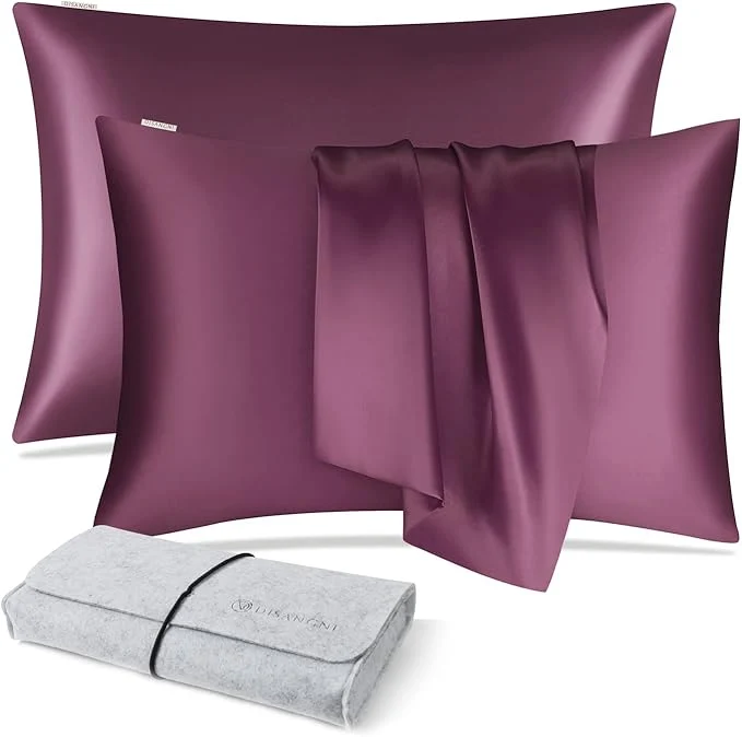 Exceptional DISANGNI Natural Mulberry Silk Pillow case Practical