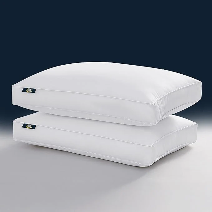 Professional Serta Hotel Collection Pillows Queen Size Set of 2 White Goose Feather Down Minimalist