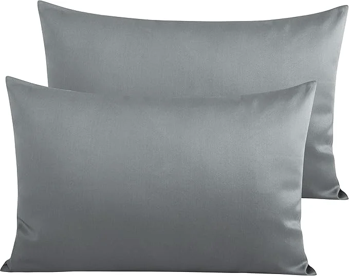 Consistent NTBAY Egyptian Cotton Queen Pillowcases Optimized