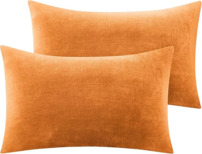 Casual BEDELITE Flannel Pillow Cases Queen Size Set of 2 Super Soft Fleece Pillowcases Specialty