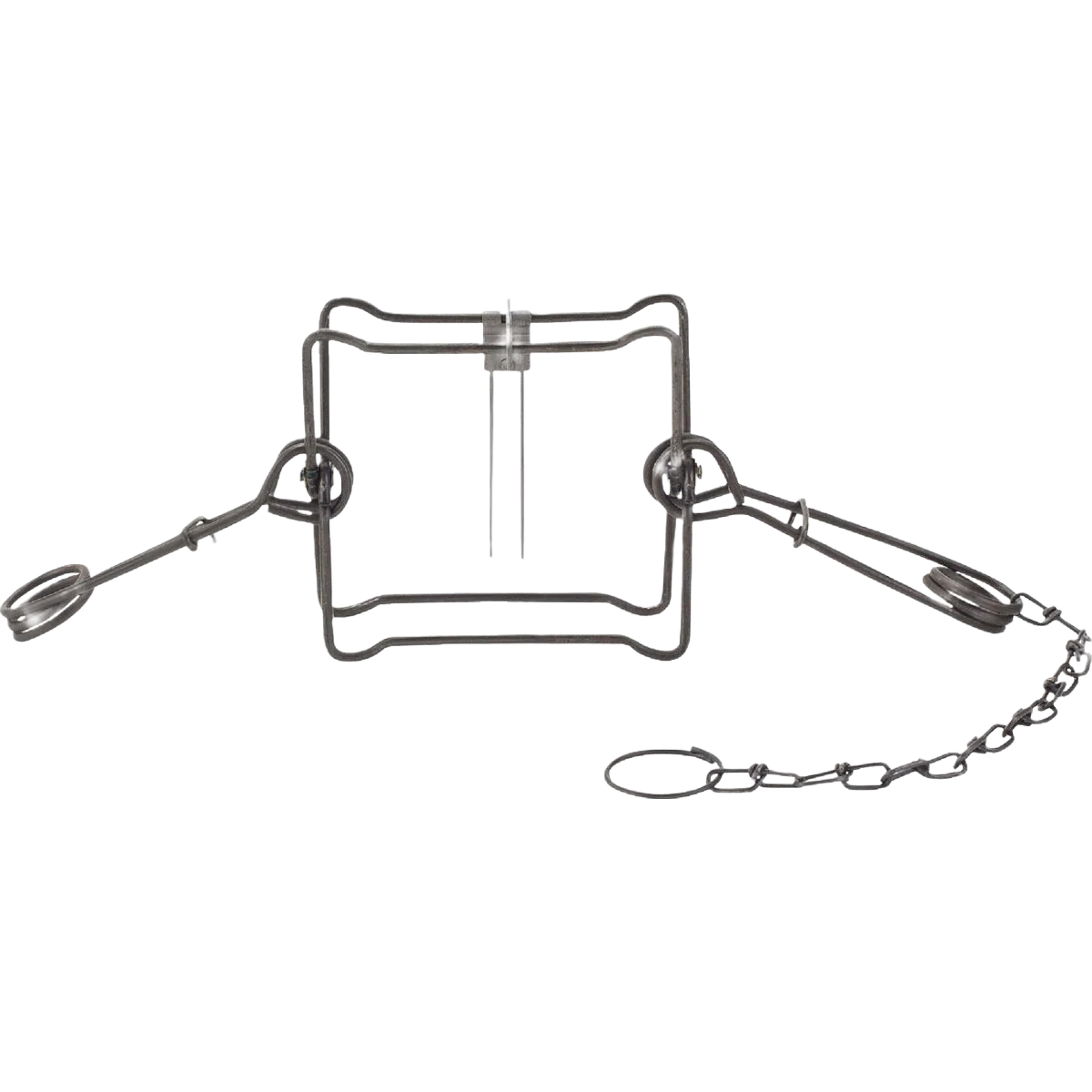 Advanced Duke Traps Steel Body Gripping Animal Trap 7 in. High-Grade