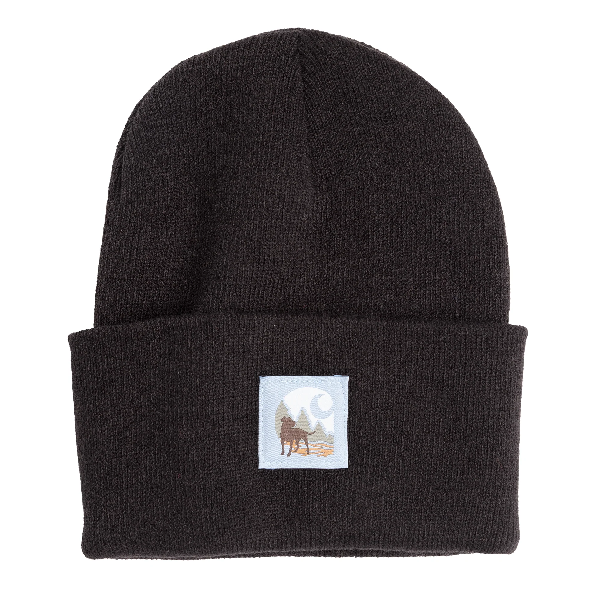 Excellent Carhartt Men’s Watch Cap Graphic Beanie Prestigious