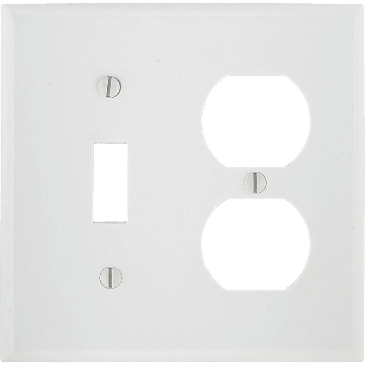 High-Performance Leviton Oversized 2-Gang White Combination Wall Plate Artisan