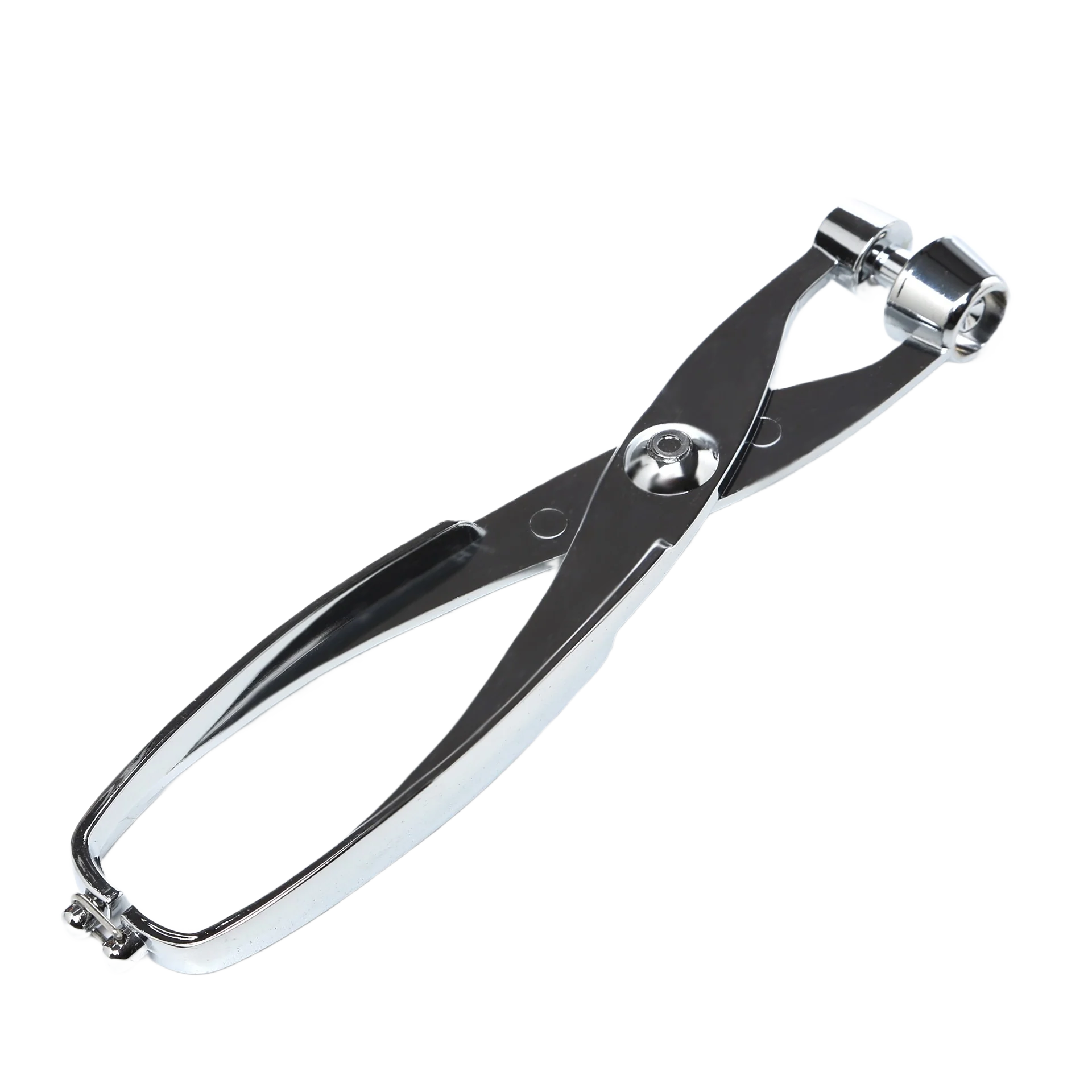 Excellent Fox Run Cherry Olive Pitter Stylish