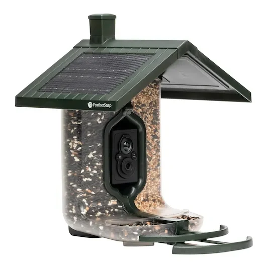 Eco-Friendly FeatherSnap Camera Bird Feeder High-Quality