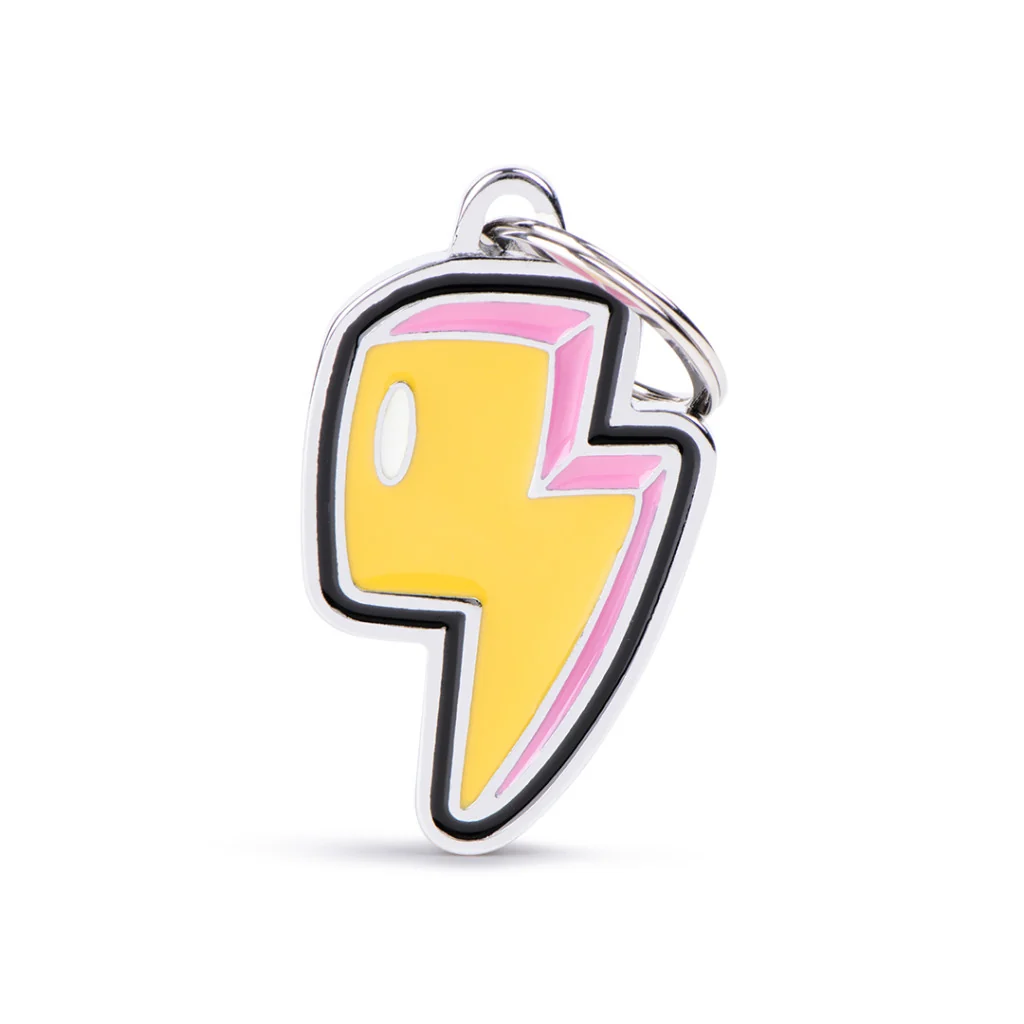 Specialty MyFamily Charms Lightning Pet Tag Fashionable