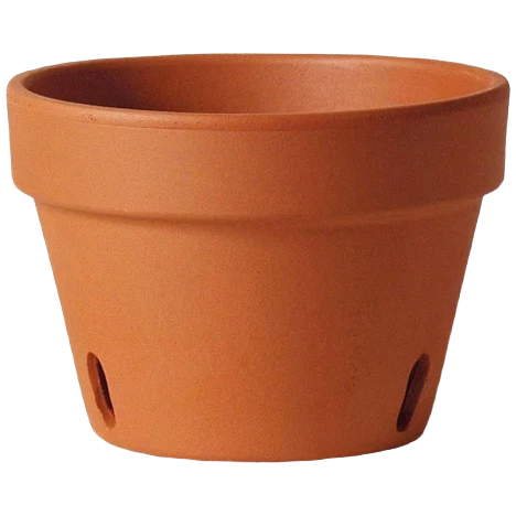Organic Southern Patio 6 Clay Pot Original