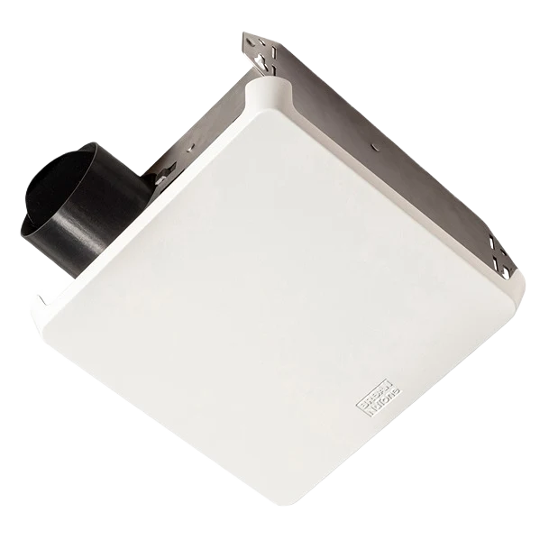 Relaxed Boran 50CFM Bath Exhaust Fan Responsible