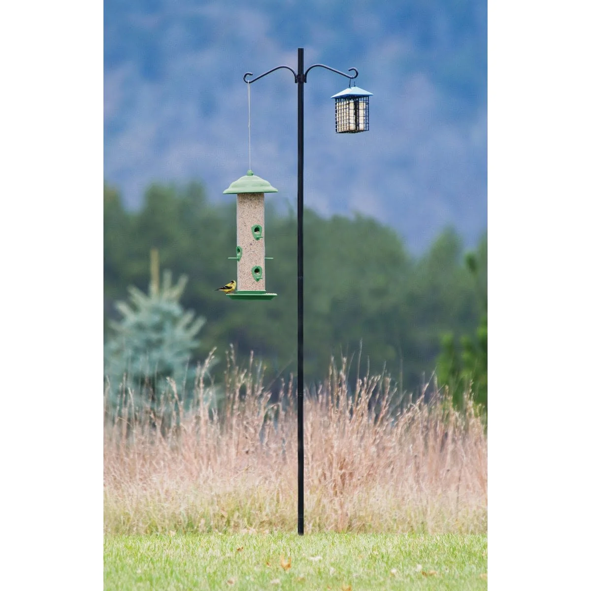Trusted More Birds Steel Bird Feeder Pole Kit 6.5 ft. Fine