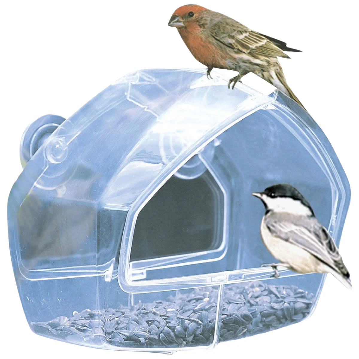 Environmentally Friendly Perky-Pet Birdscapes Clear Plastic Window Bird Feeder .25 lb. Capacity Original Design