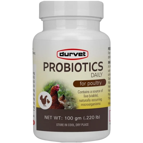 Advanced Durvet Probiotic Daily Poultry Supplement Luxury