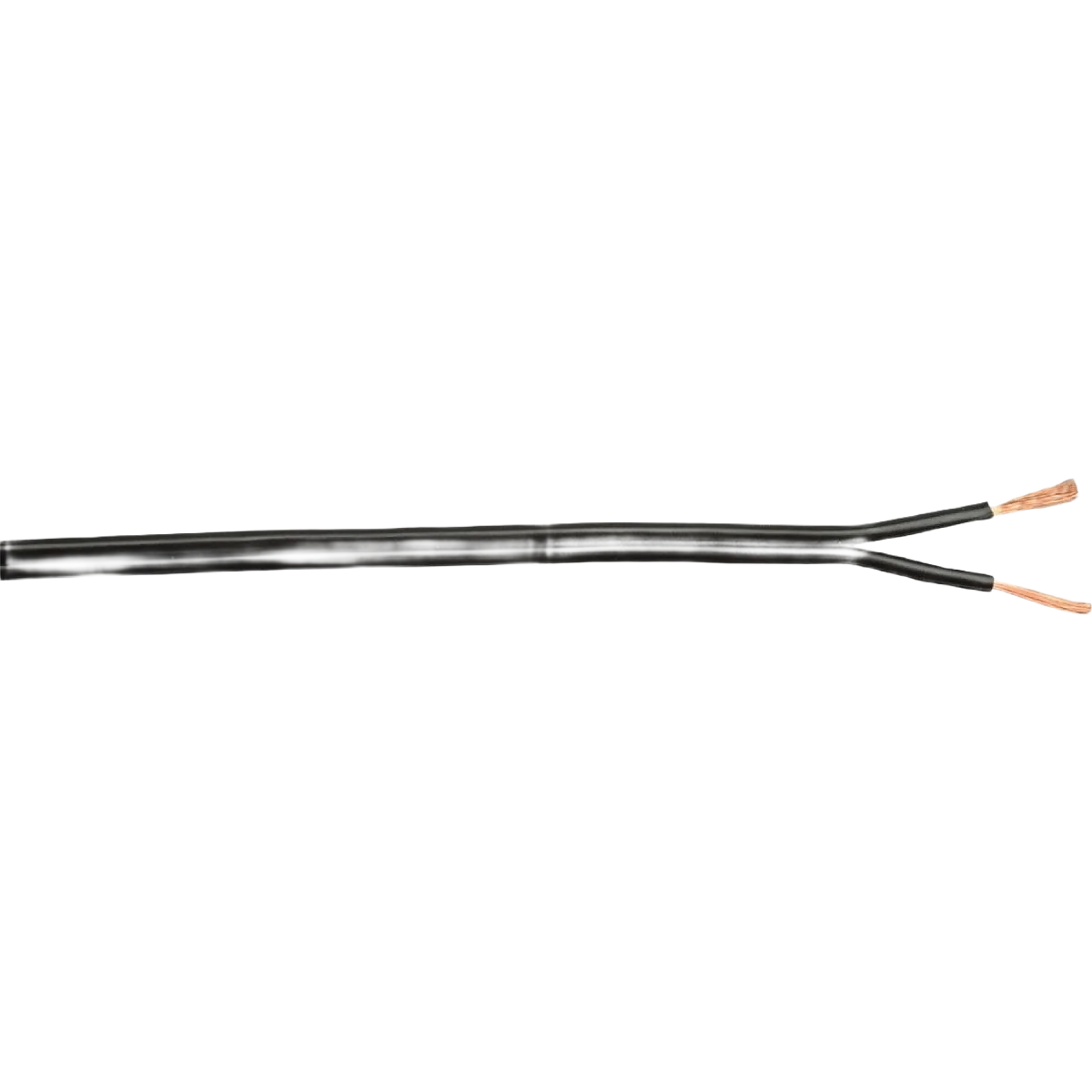 Professional Coleman Cable Lamp Cord Contemporary
