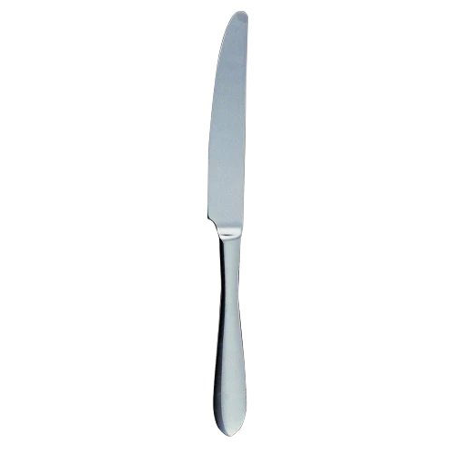 Breathable Ginkgo Linden Dinner Knife High-Performance