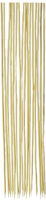 Safe Fox Run Bamboo Skewers 10 in. Premium Material