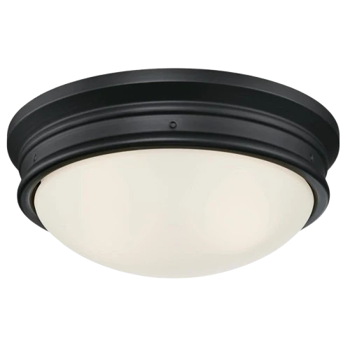 First-Class Westinghouse Meadowbrook Matte Black w Frosted Glass 2 Light Ceiling Fixture 13 High-Performance