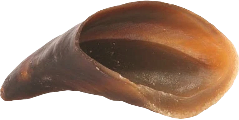 Artisan Redbarn Naturals Dog Chew Hoof 4 in. Innovative